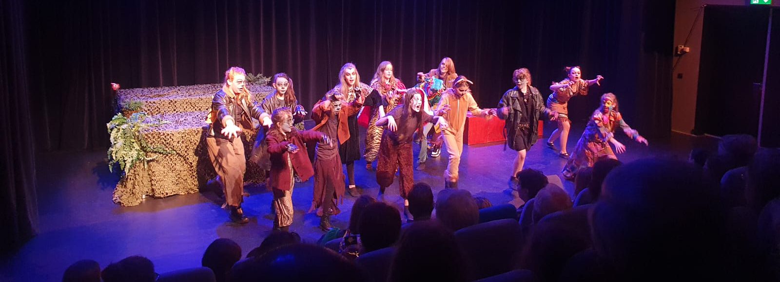 Voorstellingen Theaterschool maart 2025
