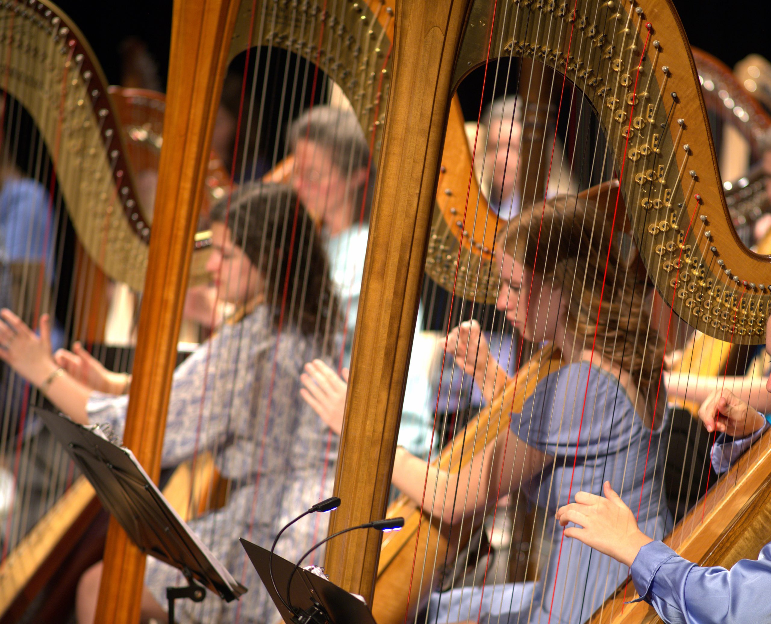 Maak kennis met: harpdocent Judith Jamin
